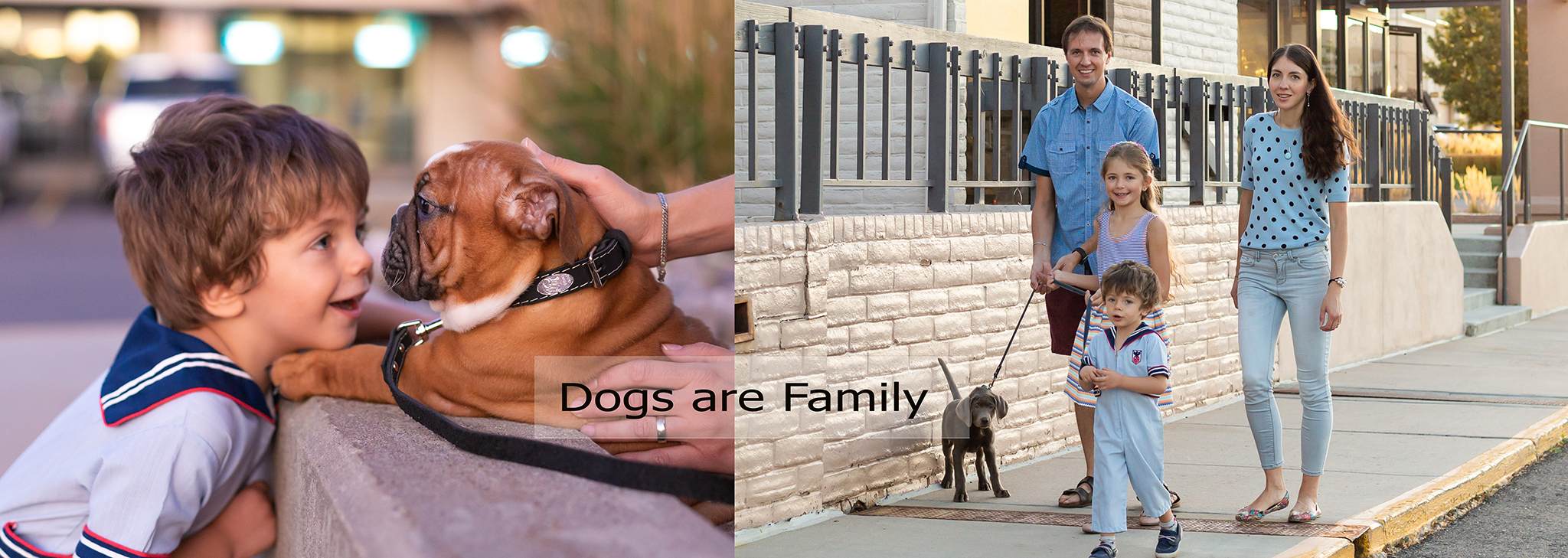 Dogs are Family